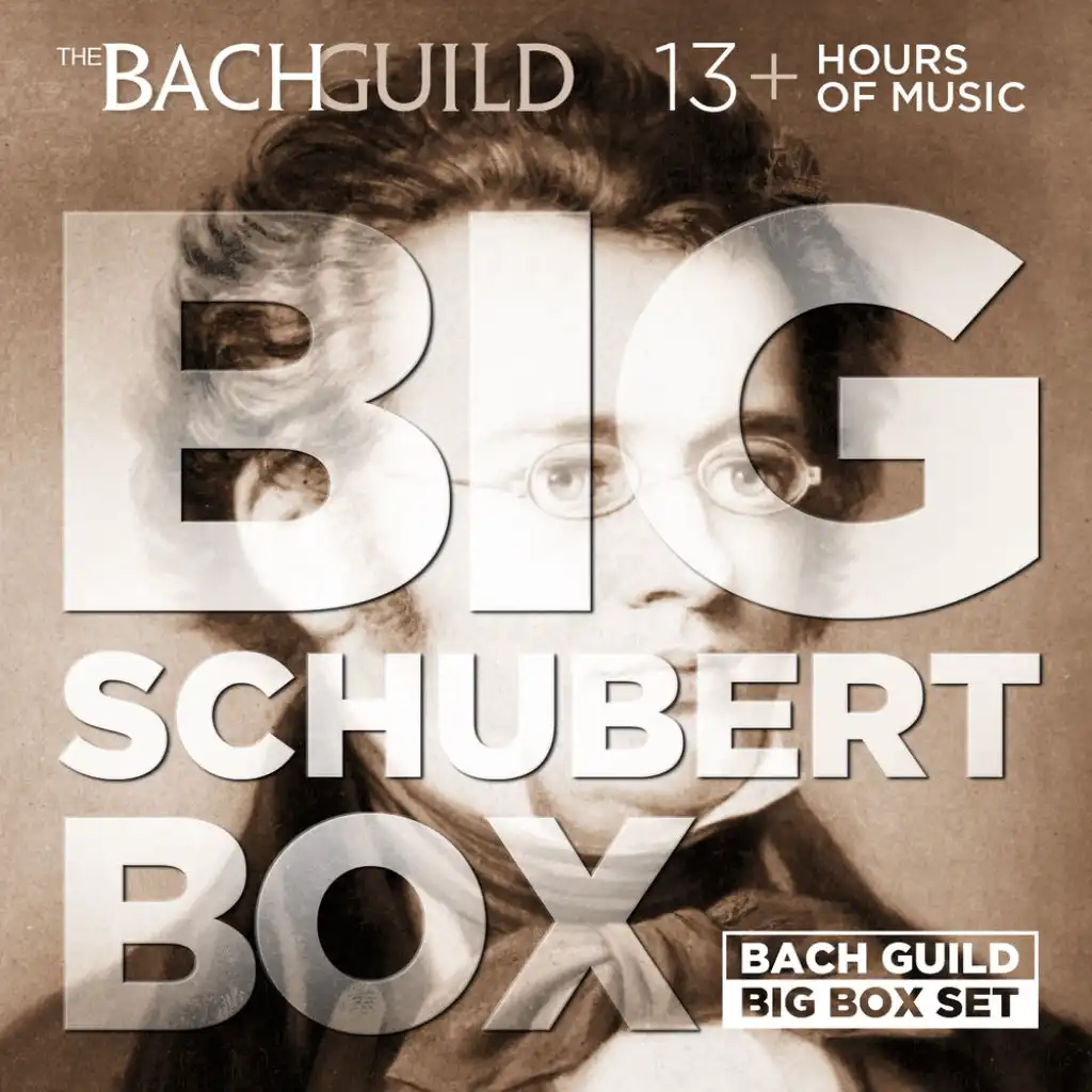 Big Schubert Box