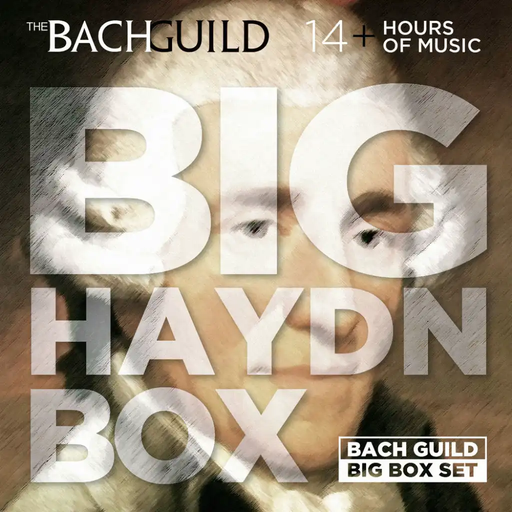 Big Haydn Box
