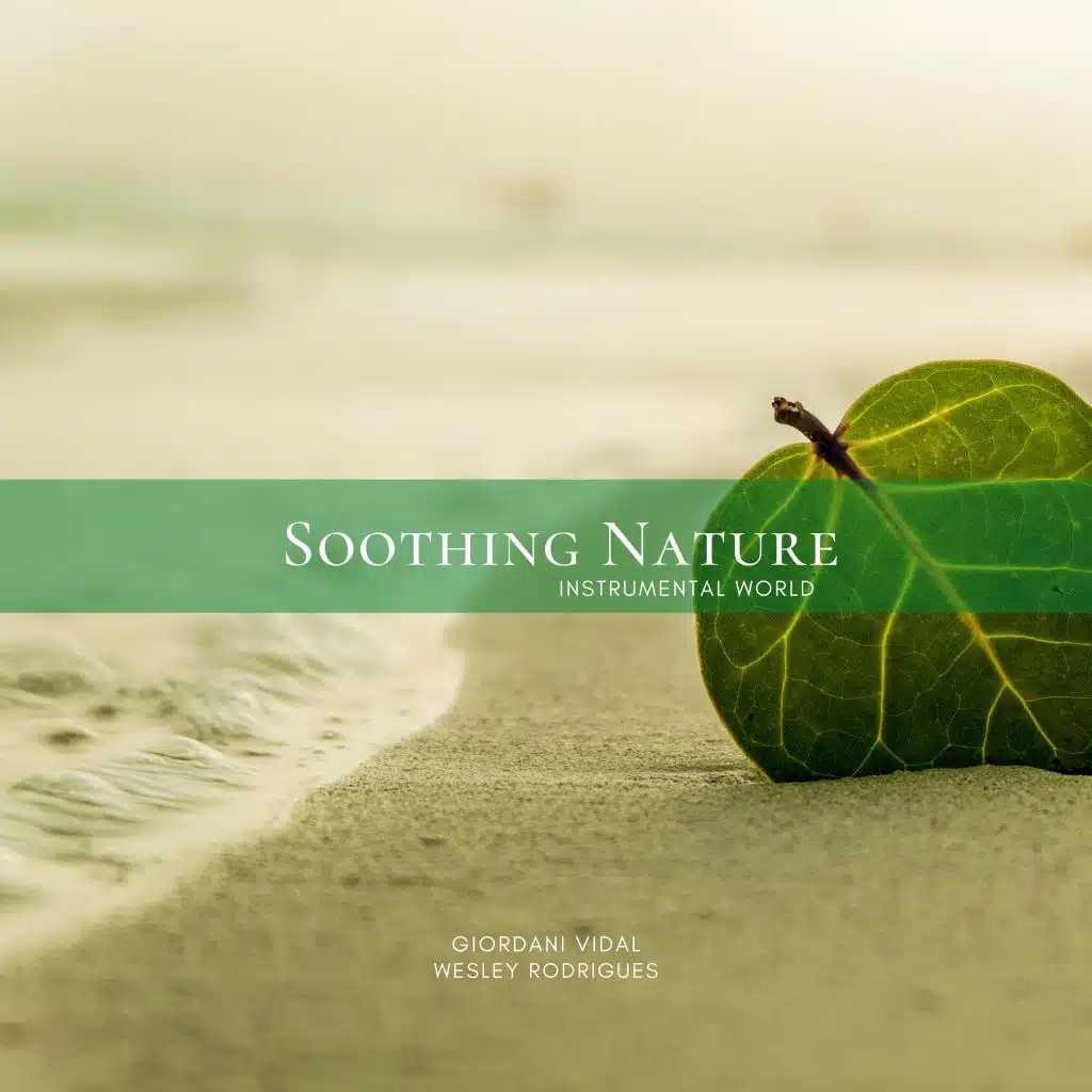 Soothing Nature: Instrumental World, Vol. 02