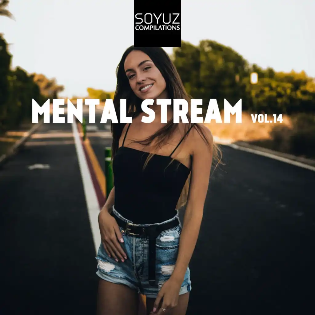 Mental Stream, Vol. 14