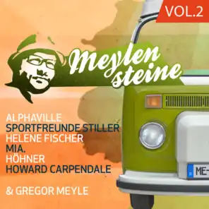 Gregor Meyle präsentiert Meylensteine, Vol.2