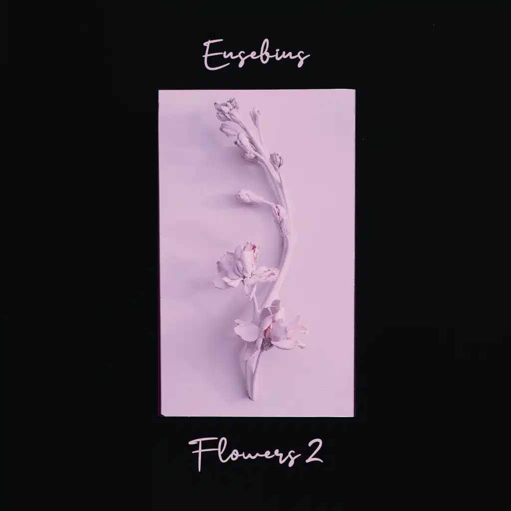 Flowers 2