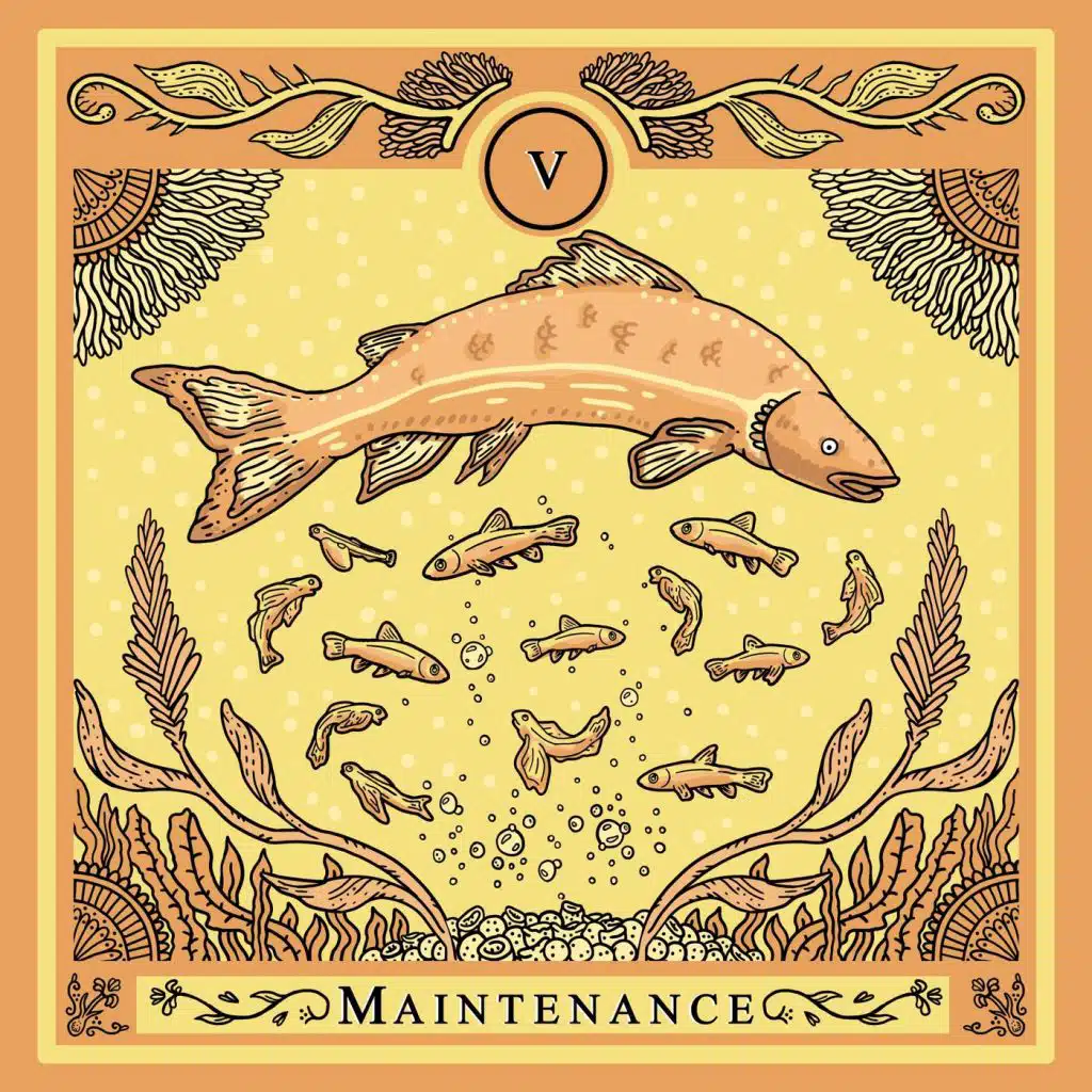 Maintenance