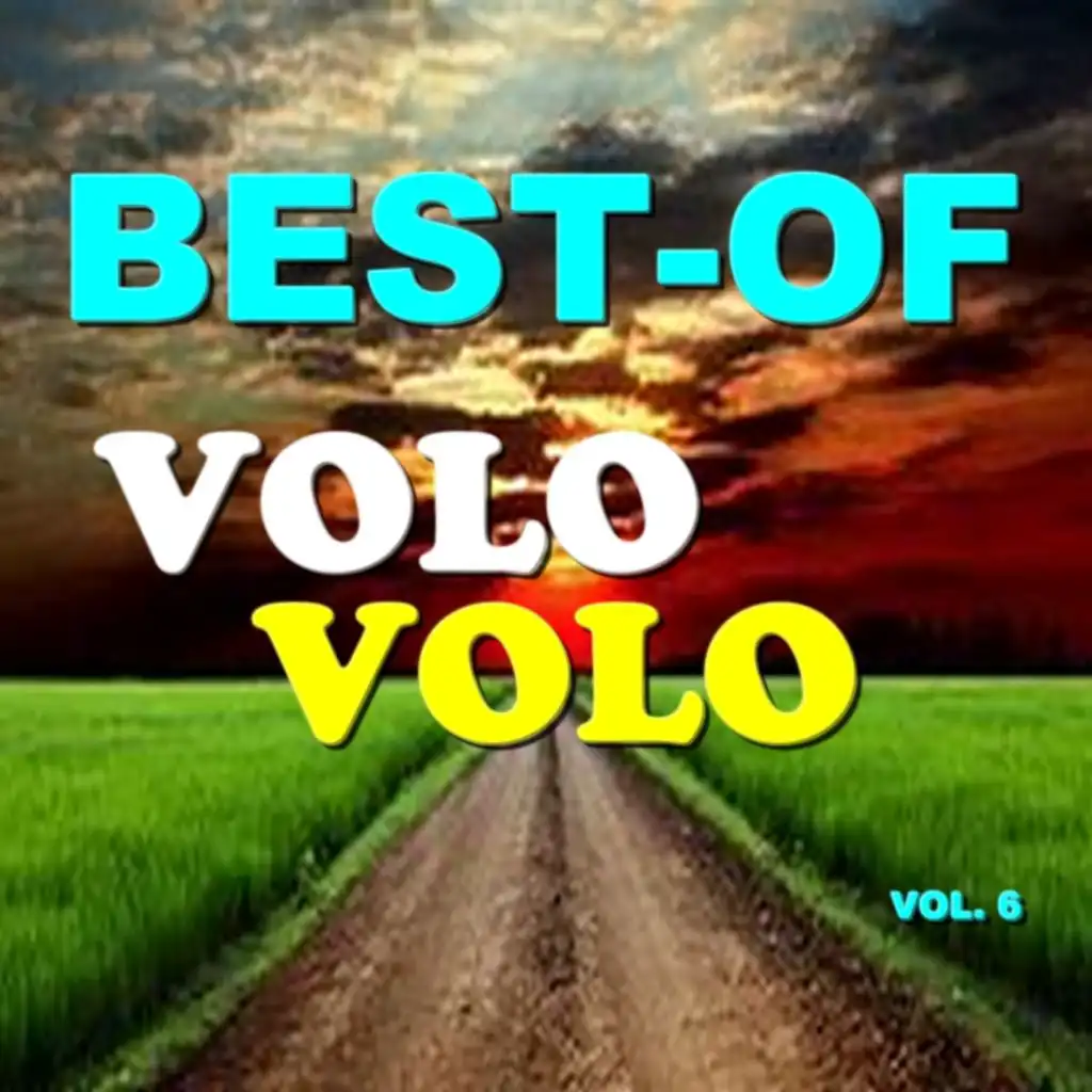 Best-of volo volo (Vol. 6)