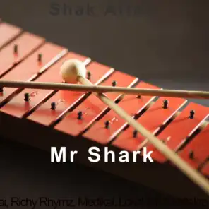 Mr Shark