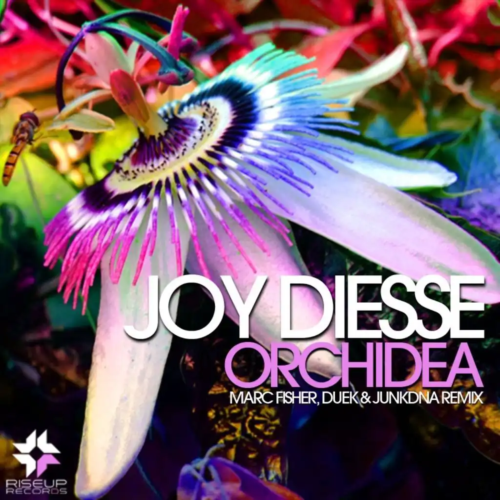 Orchidea (JunkDNA Remix)