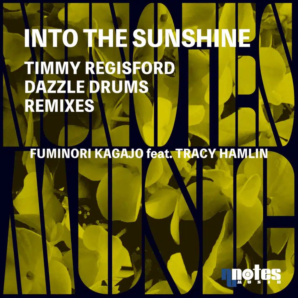 Into The Sunshine (Timmy Regisford & Dazzle Drums Remixes) [feat. Tracy Hamlin]