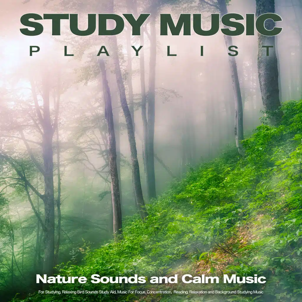 Studying Music, Study Playlist, Study Music