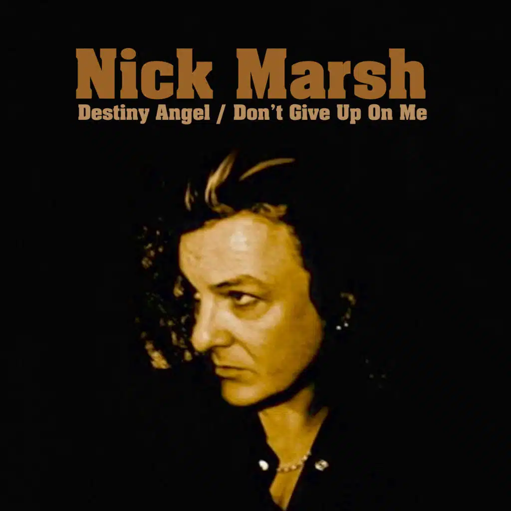 Destiny Angel / Don't Give Up On Me