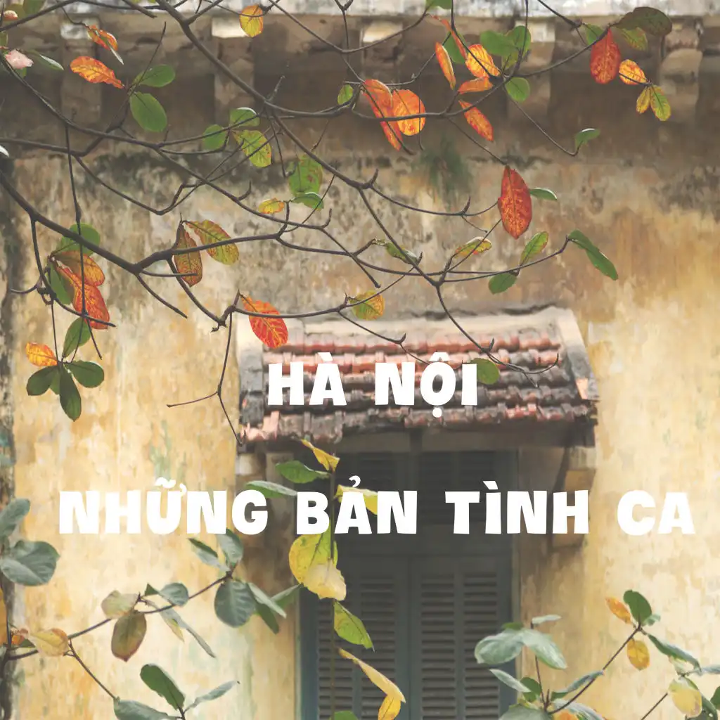 Hoa sữa