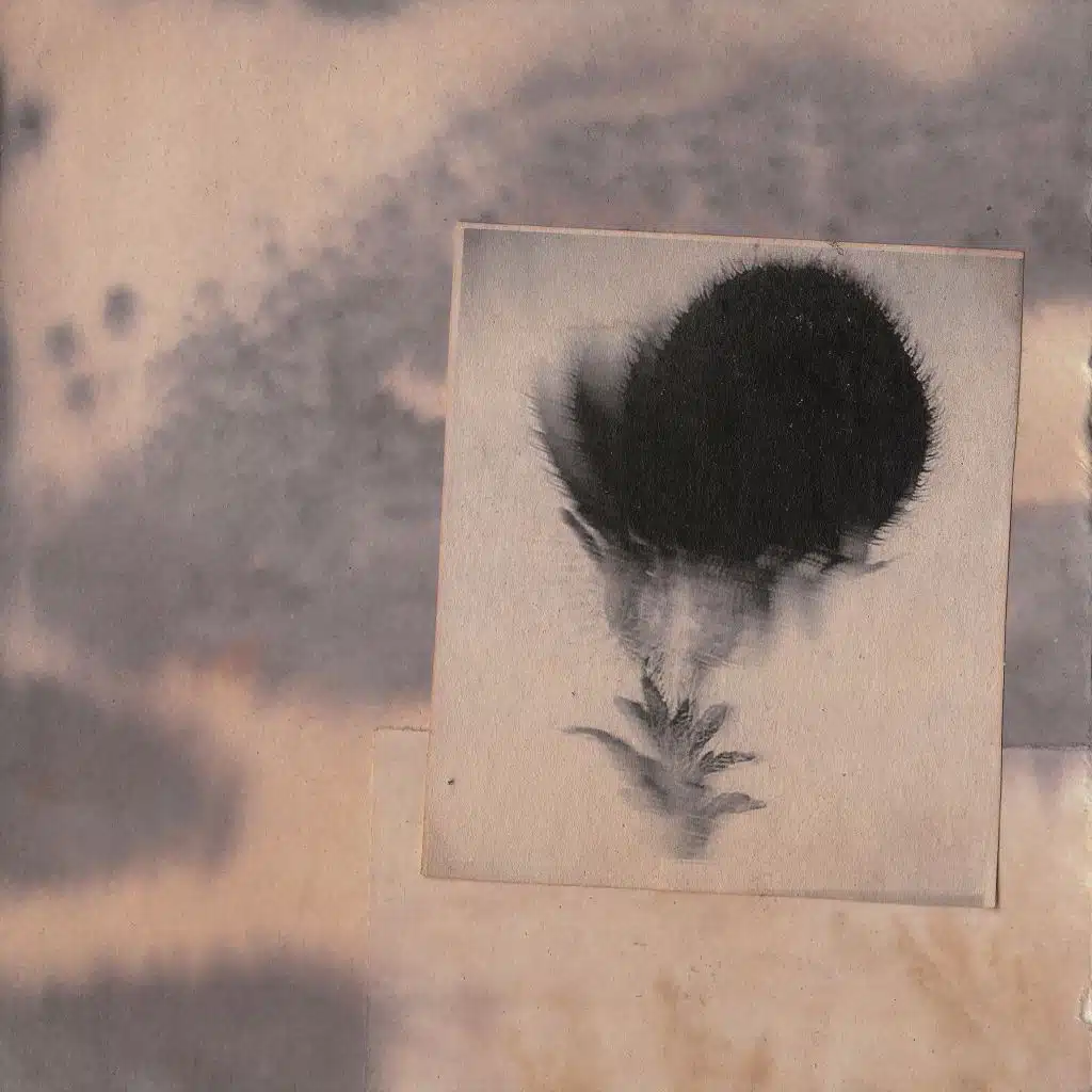 I Bet You Small and Fragile but This Is How I Feel Too