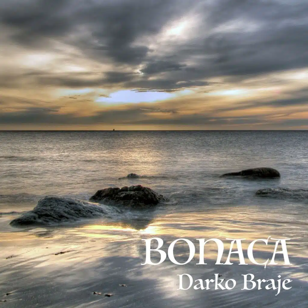 Darko Braje