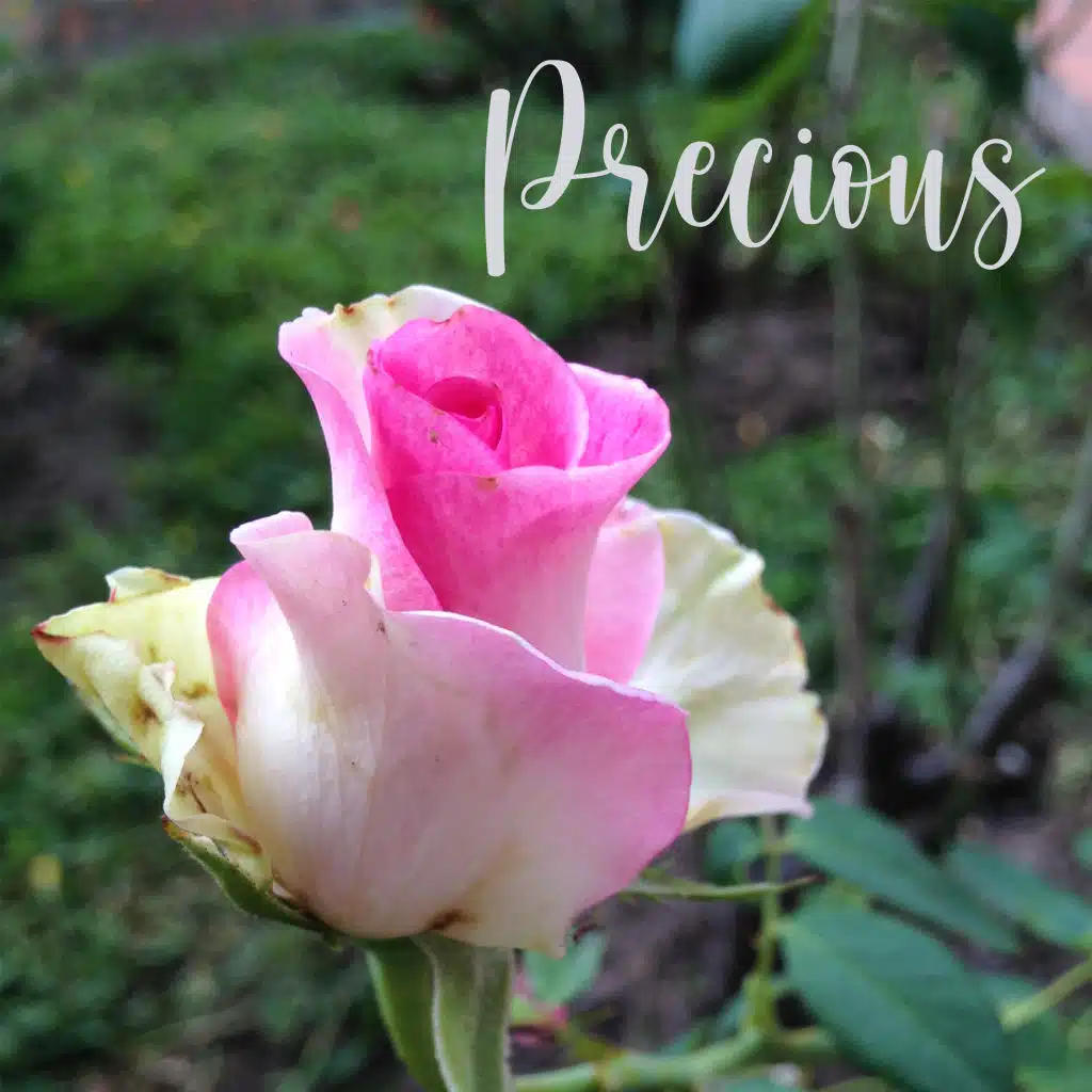 Precious