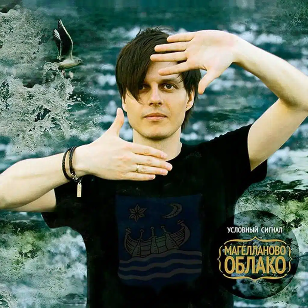 Замерзший цветок