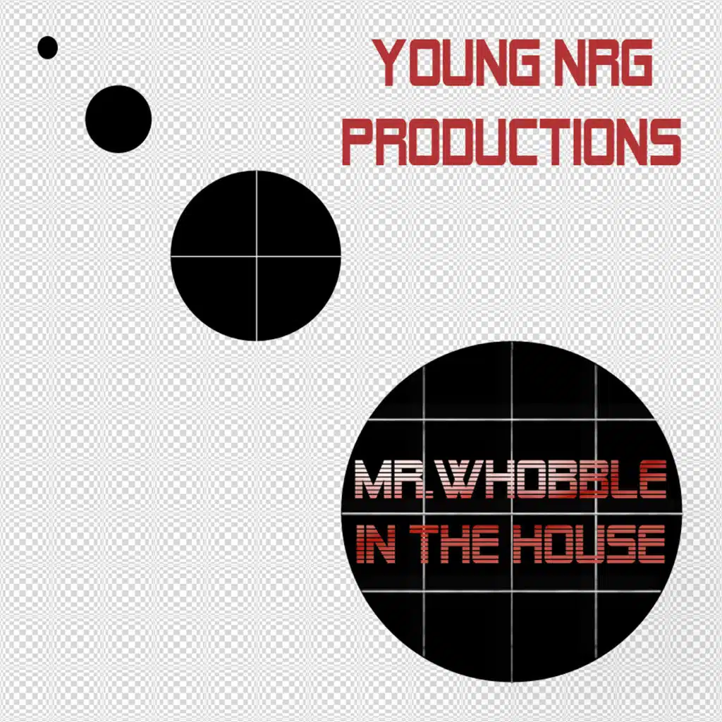 Mr Whobble