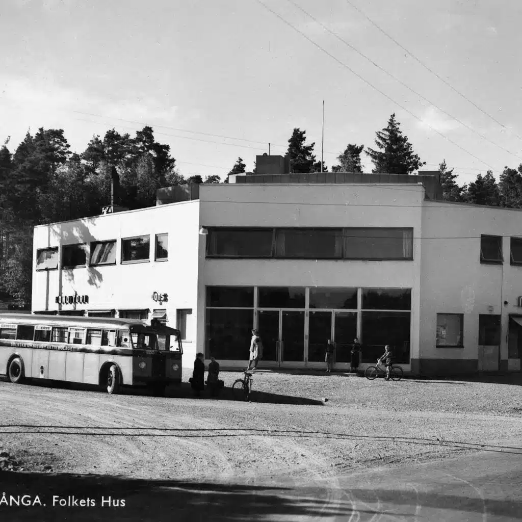 The Essential Cavemen