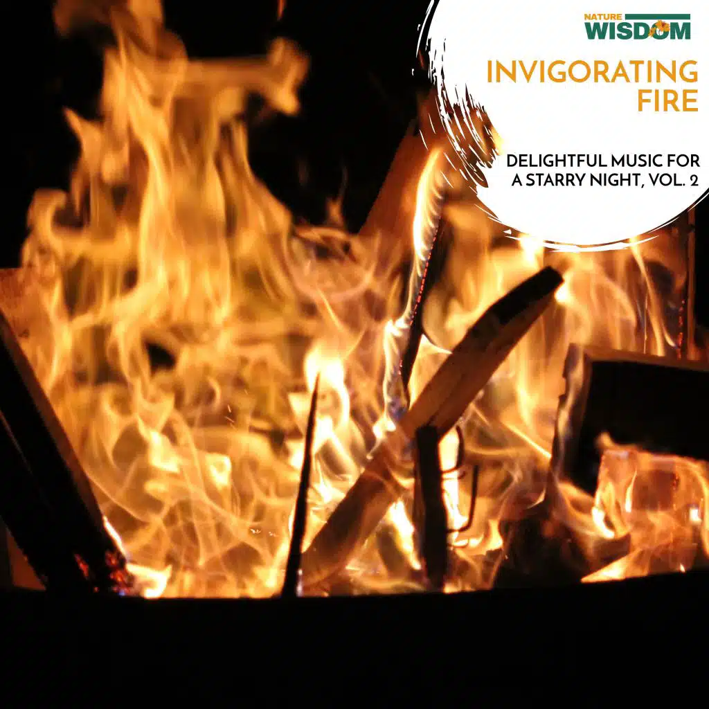 Invigorating Fire - Delightful Music for a Starry Night, Vol. 2
