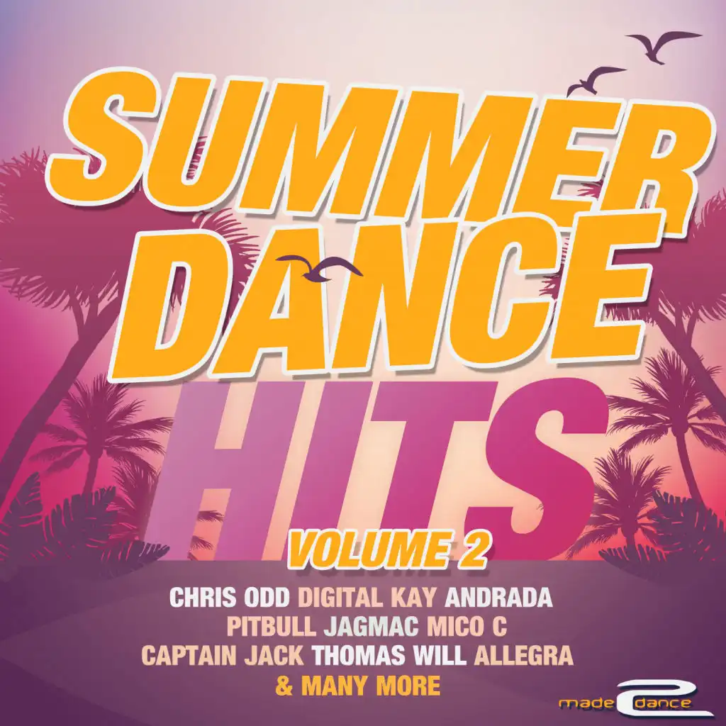 Summer Dance Hits, Vol. 2