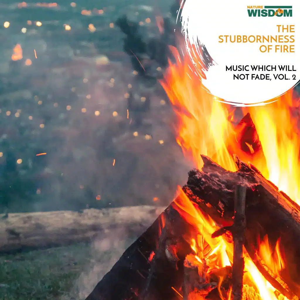 The Stubbornness of Fire - Music which will not Fade, Vol. 2