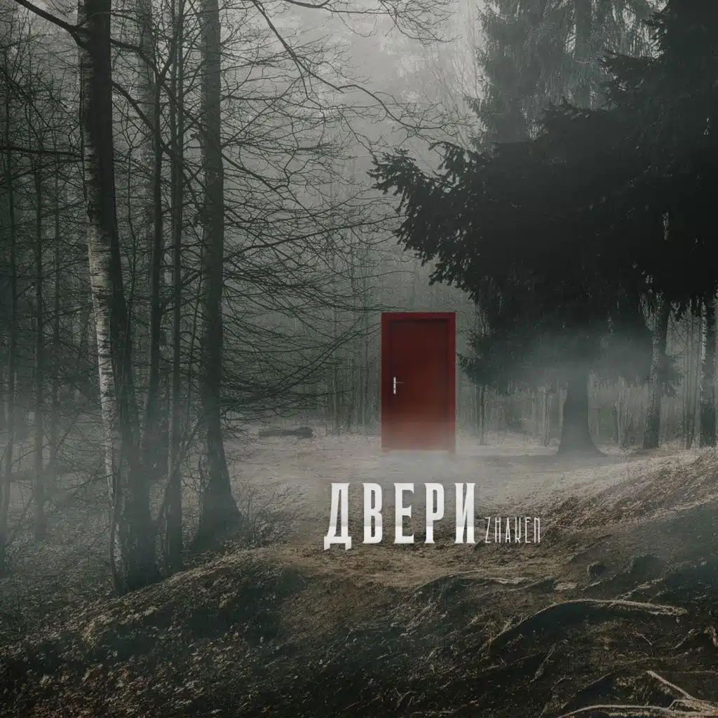 Двери