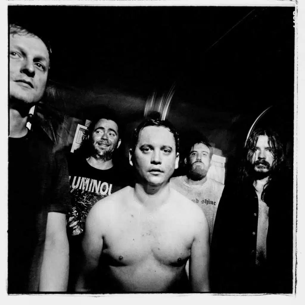 Pigs Pigs Pigs Pigs Pigs Pigs Pigs