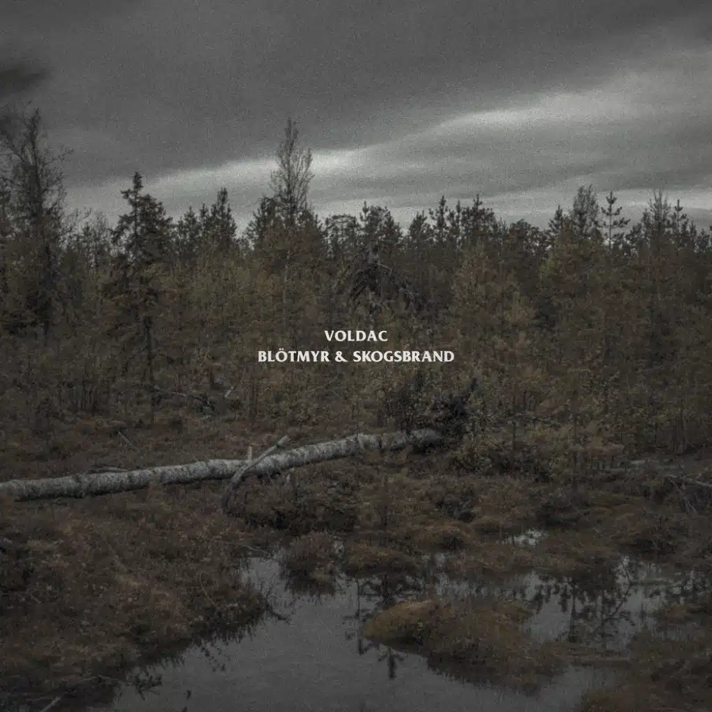 psalm (feat. Follow Him To The End Of The Desert)