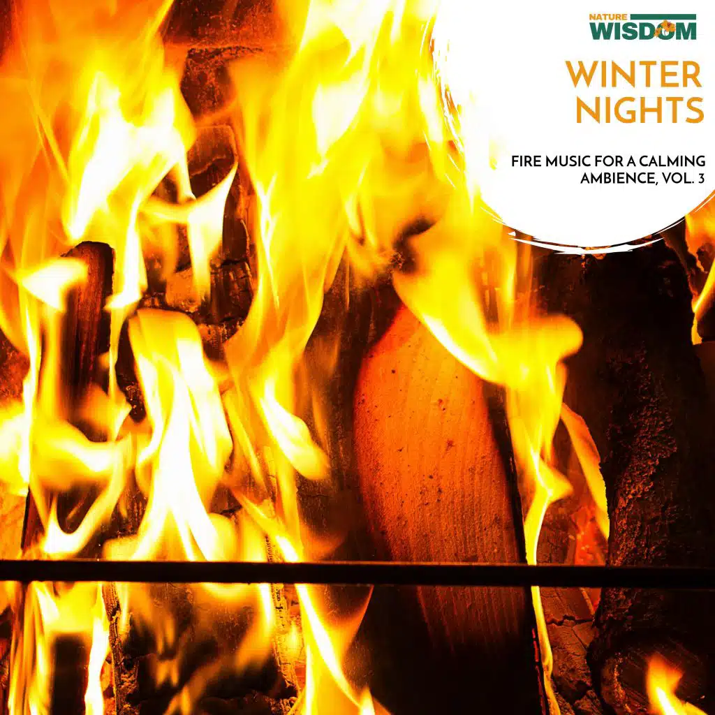 Winter Nights - Fire Music for a Calming Ambience, Vol. 3