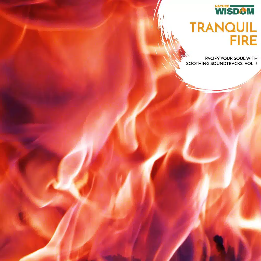 Tranquil Fire - Pacify Your Soul with Soothing Soundtracks, Vol. 5