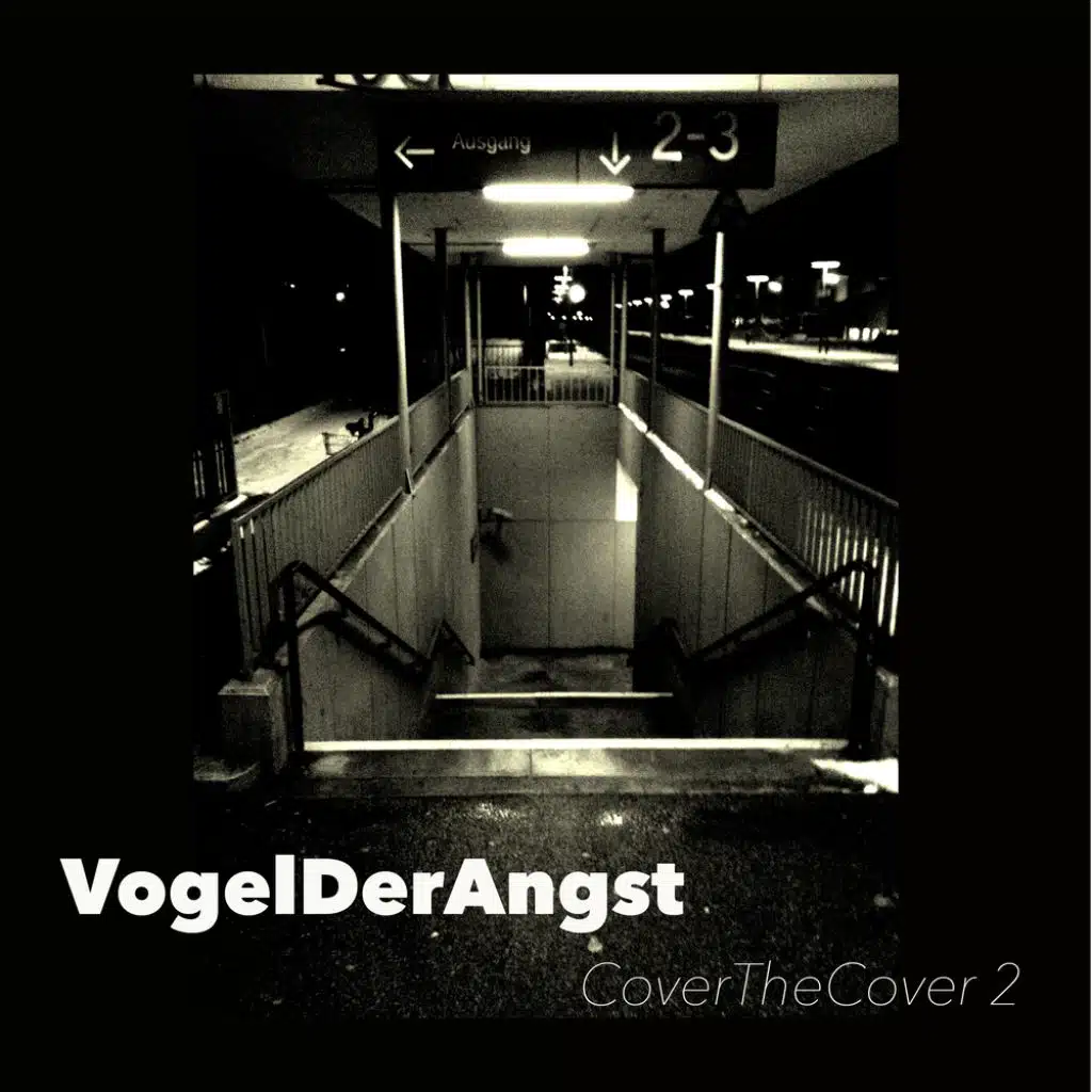 Cover the Cover 2 (feat. Karina Schafranietz)