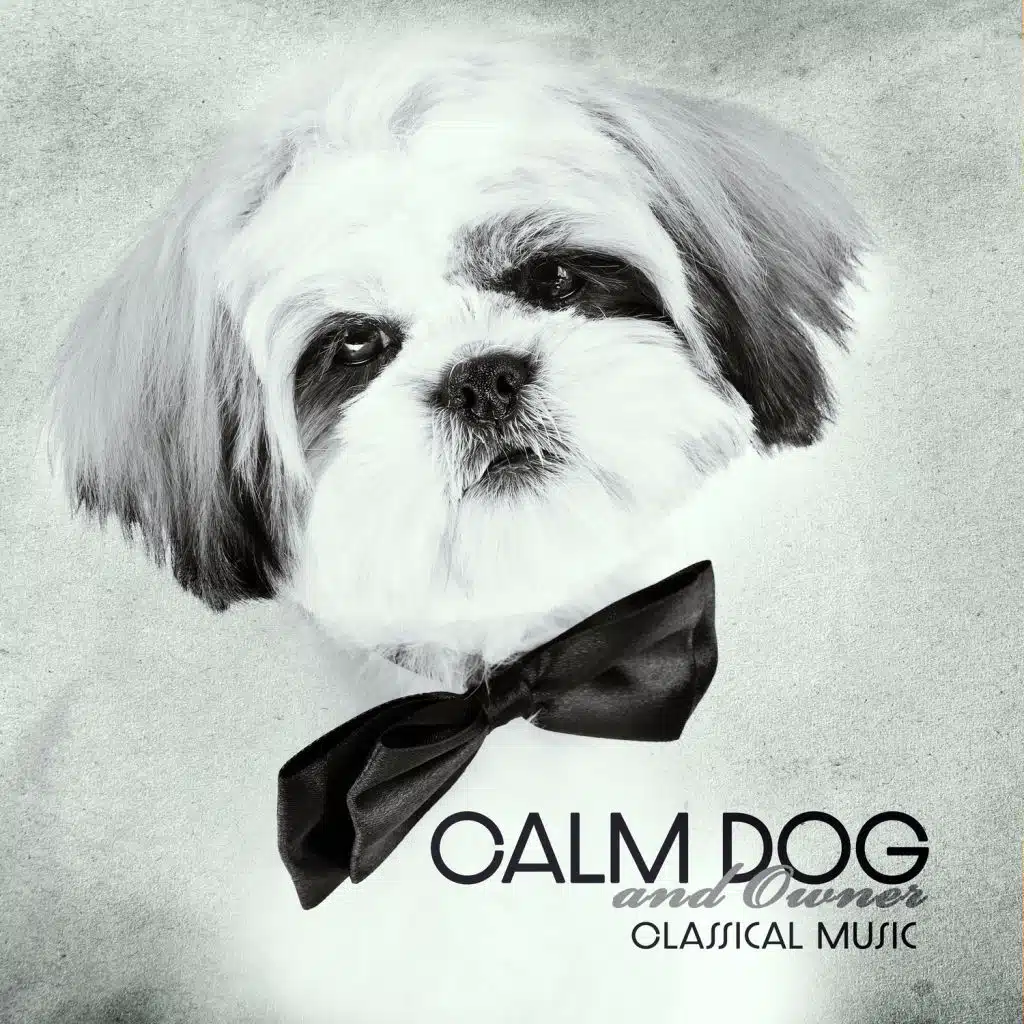 Bellini - Norma - Casta Diva