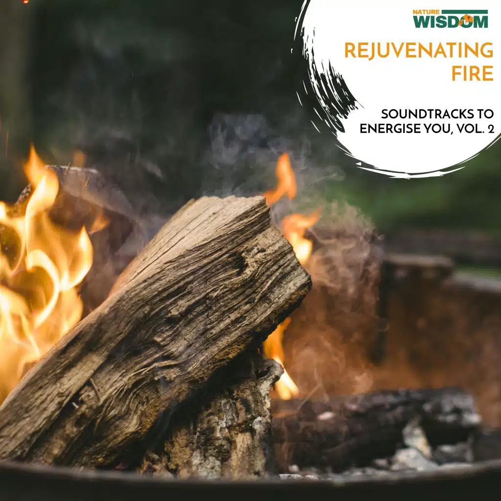 Rejuvenating Fire - Soundtracks to Energise You, Vol. 2