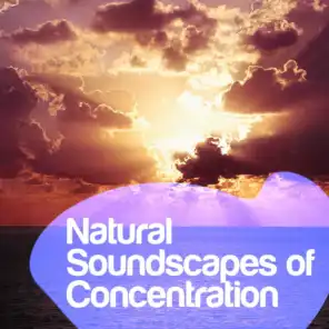 Natural Soundscapes of Concentration