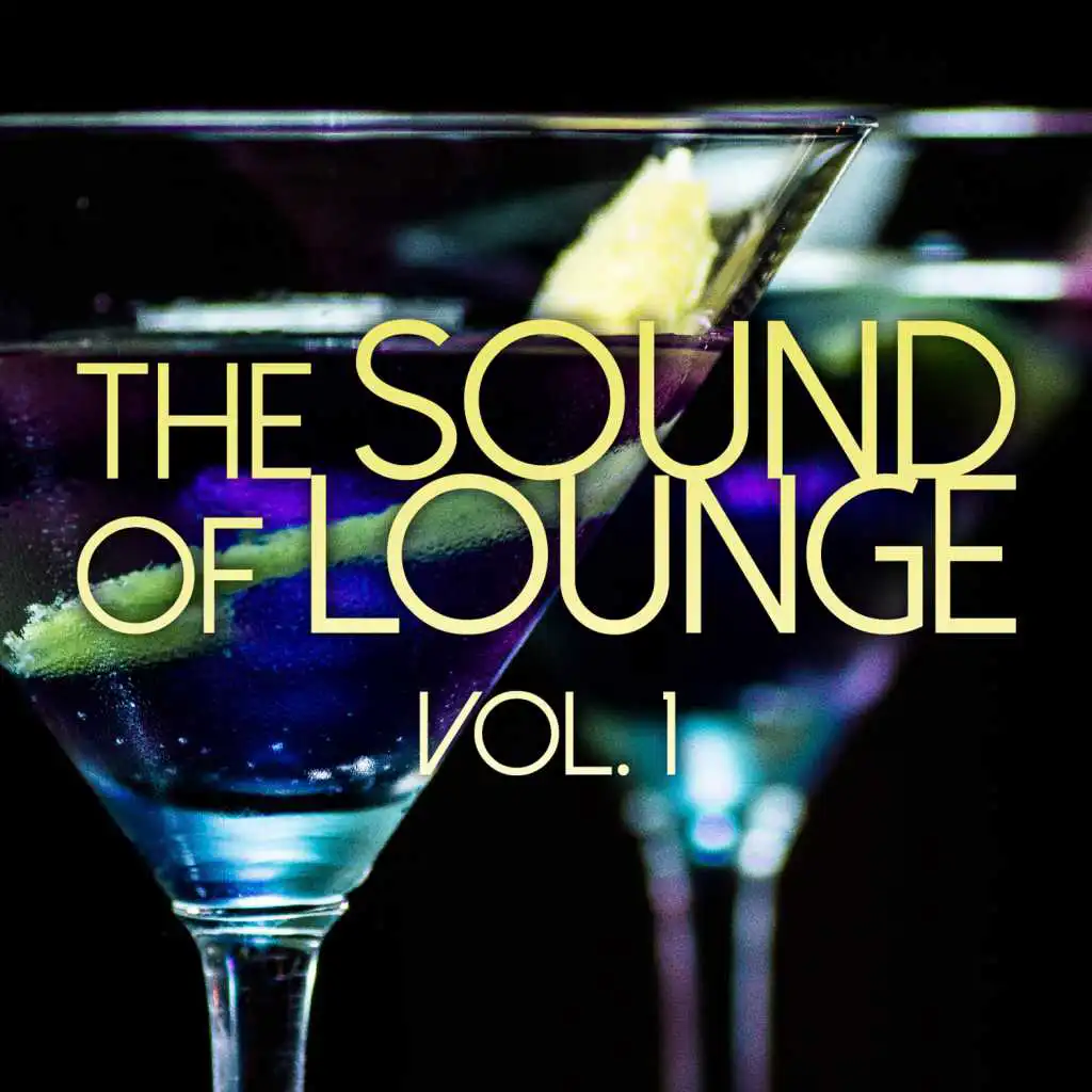 Where Is My Lover (D-Soriani Chilly Mix) [feat. Adriana Salvadori]