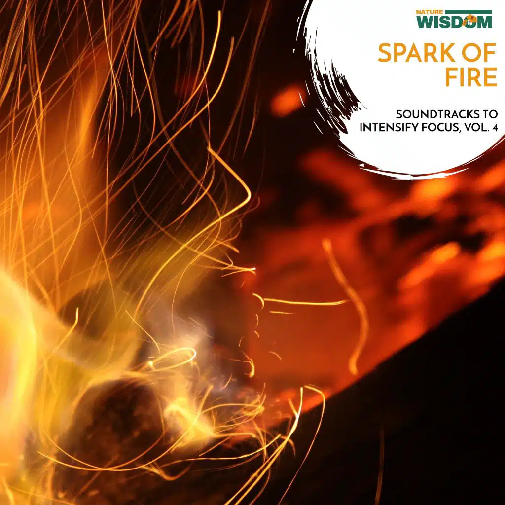 Spark of Fire - Soundtracks to Intensify Focus, Vol. 4