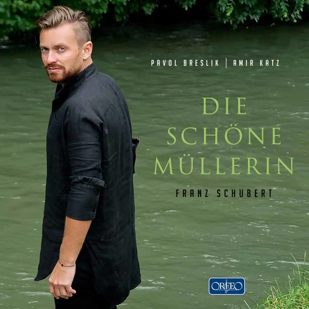 Die schöne Müllerin, Op. 25, D. 795: No. 5, Am Feierabend