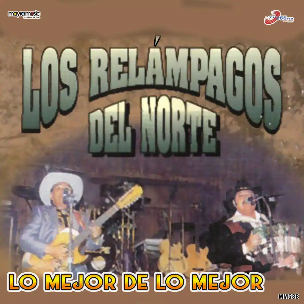 Te Fuiste De Mi