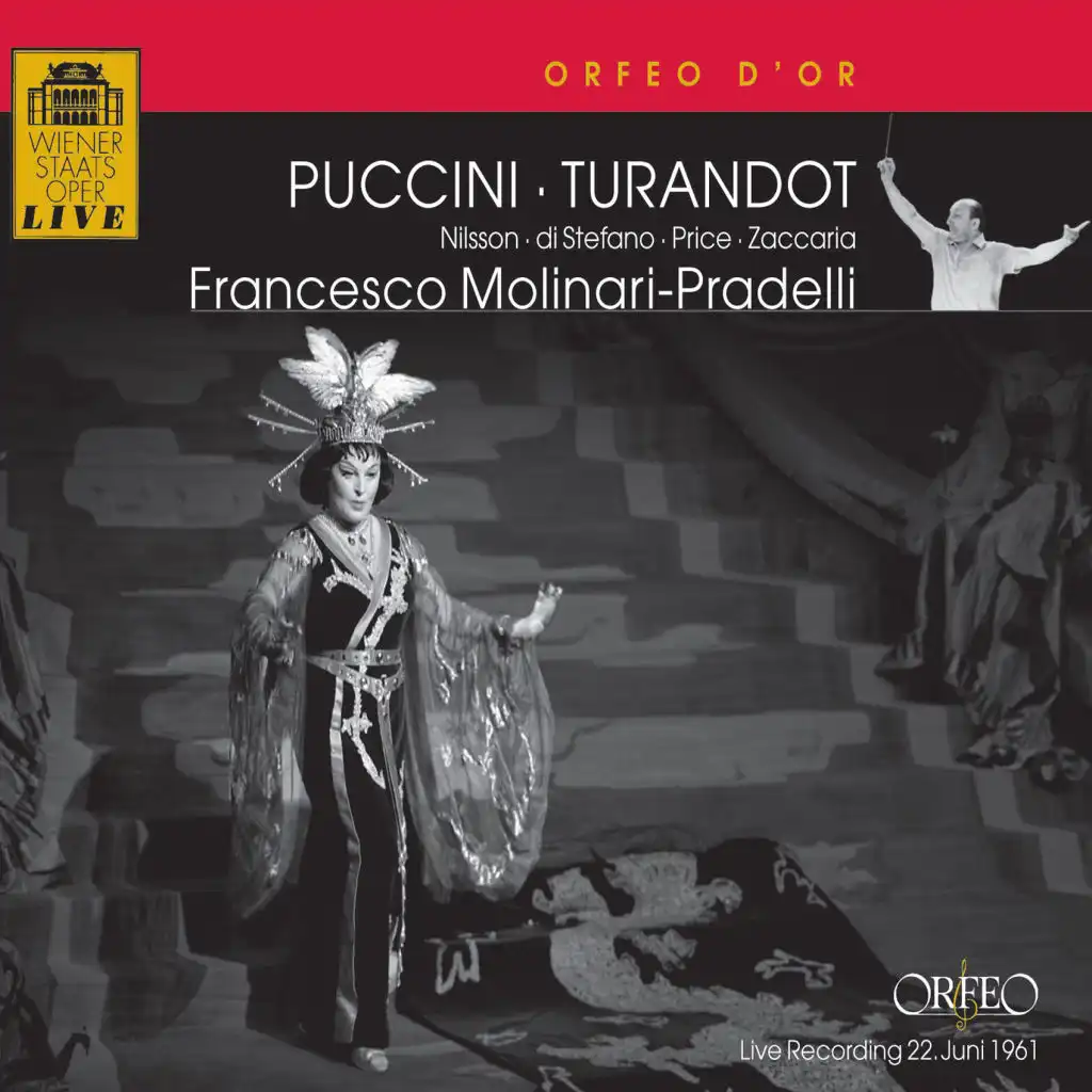 Turandot, Act I: Signore, ascolta! (Live)