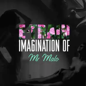 Imagination of Mr. Malo
