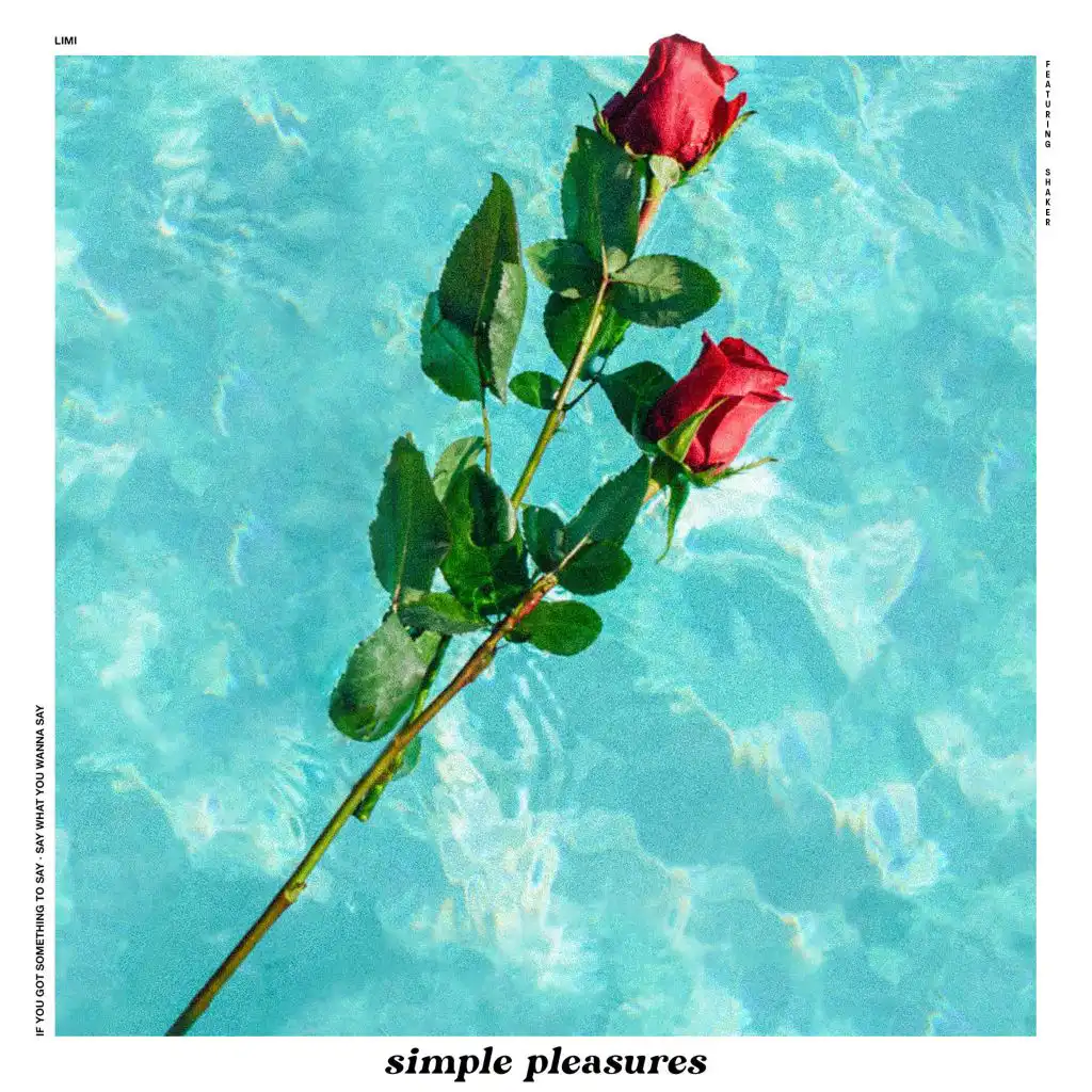 Simple Pleasures (feat. Shaker)