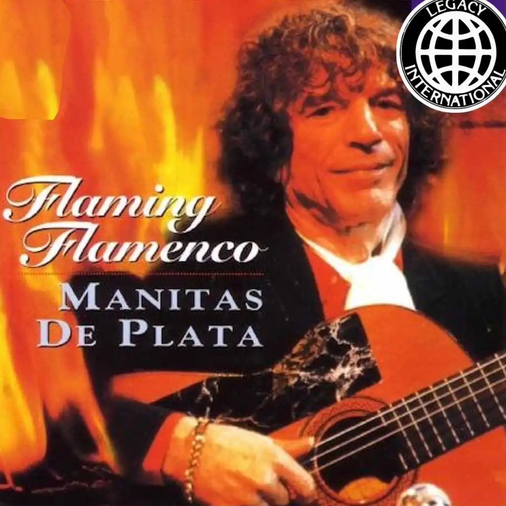 Flaming Flamenco