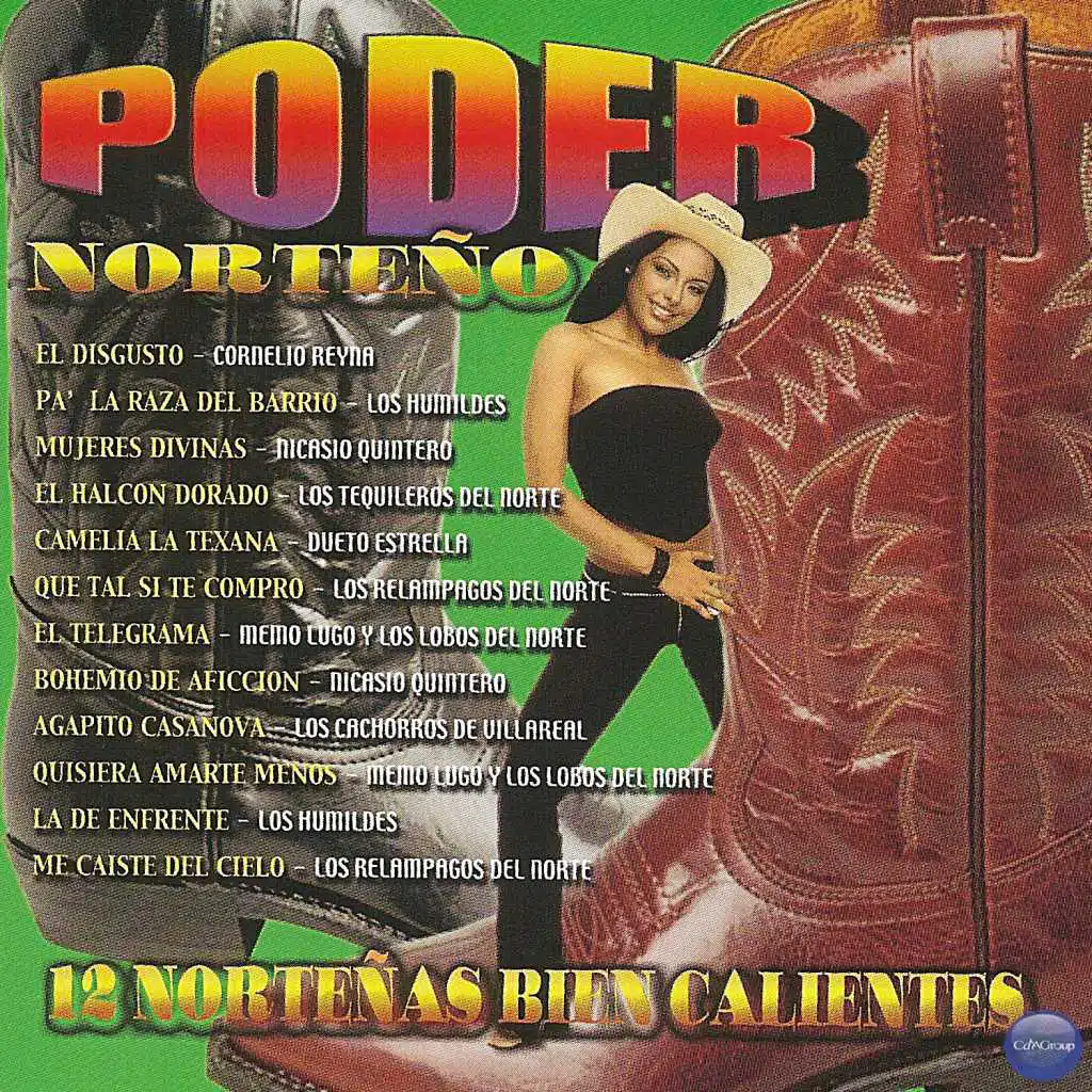 Poder Norteño