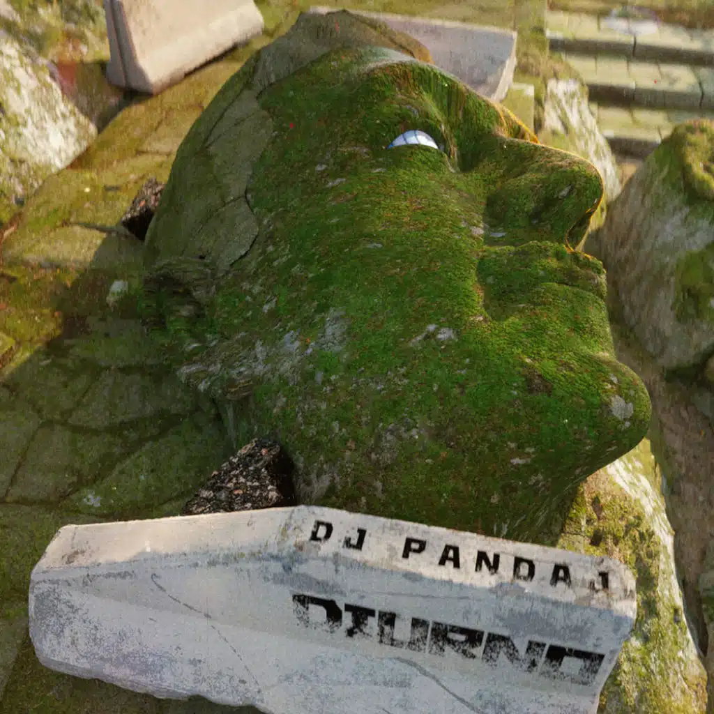 Dj Pandaj