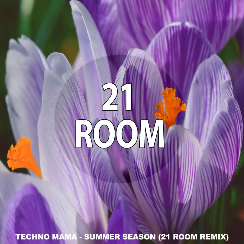 Summer Season (Remixes) [feat. 21 ROOM]