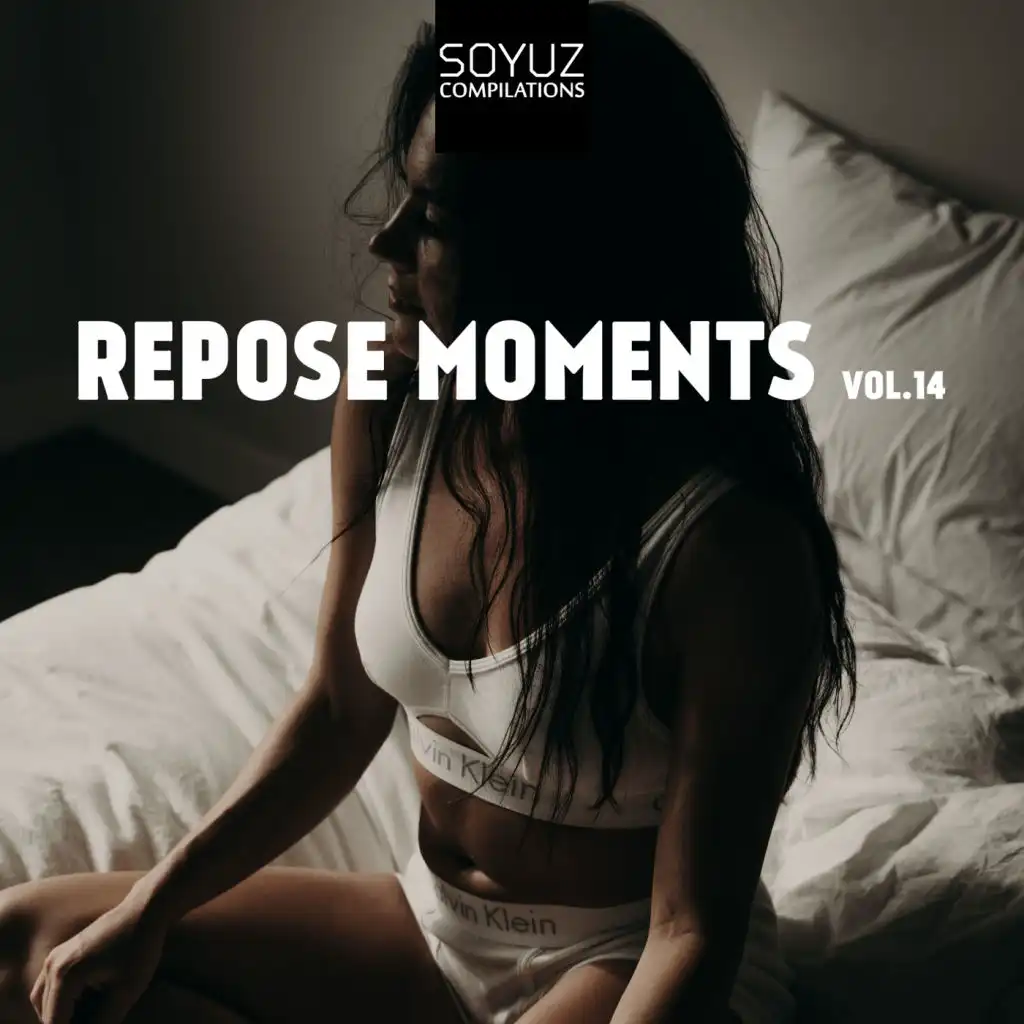 Repose Moments, Vol. 14