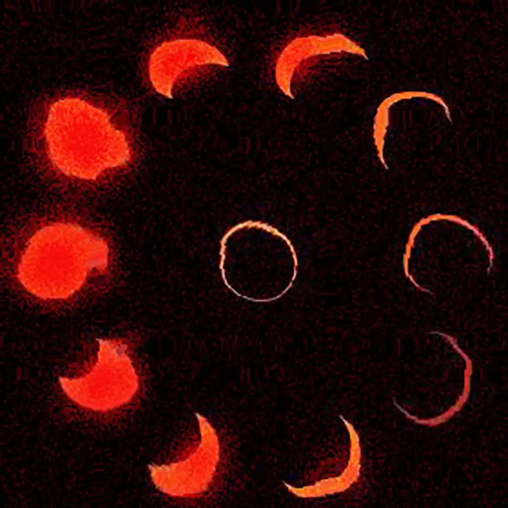 Dirty Hits Vs near Misses