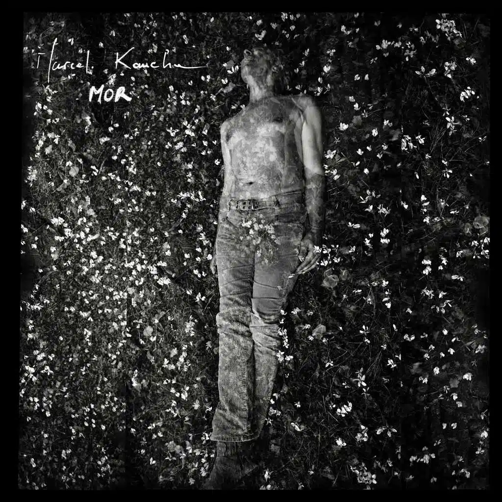 L'instant d'un oiseau