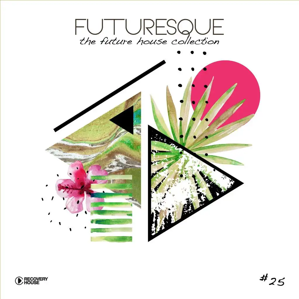 Futuresque: The Future House Collection, Vol. 25