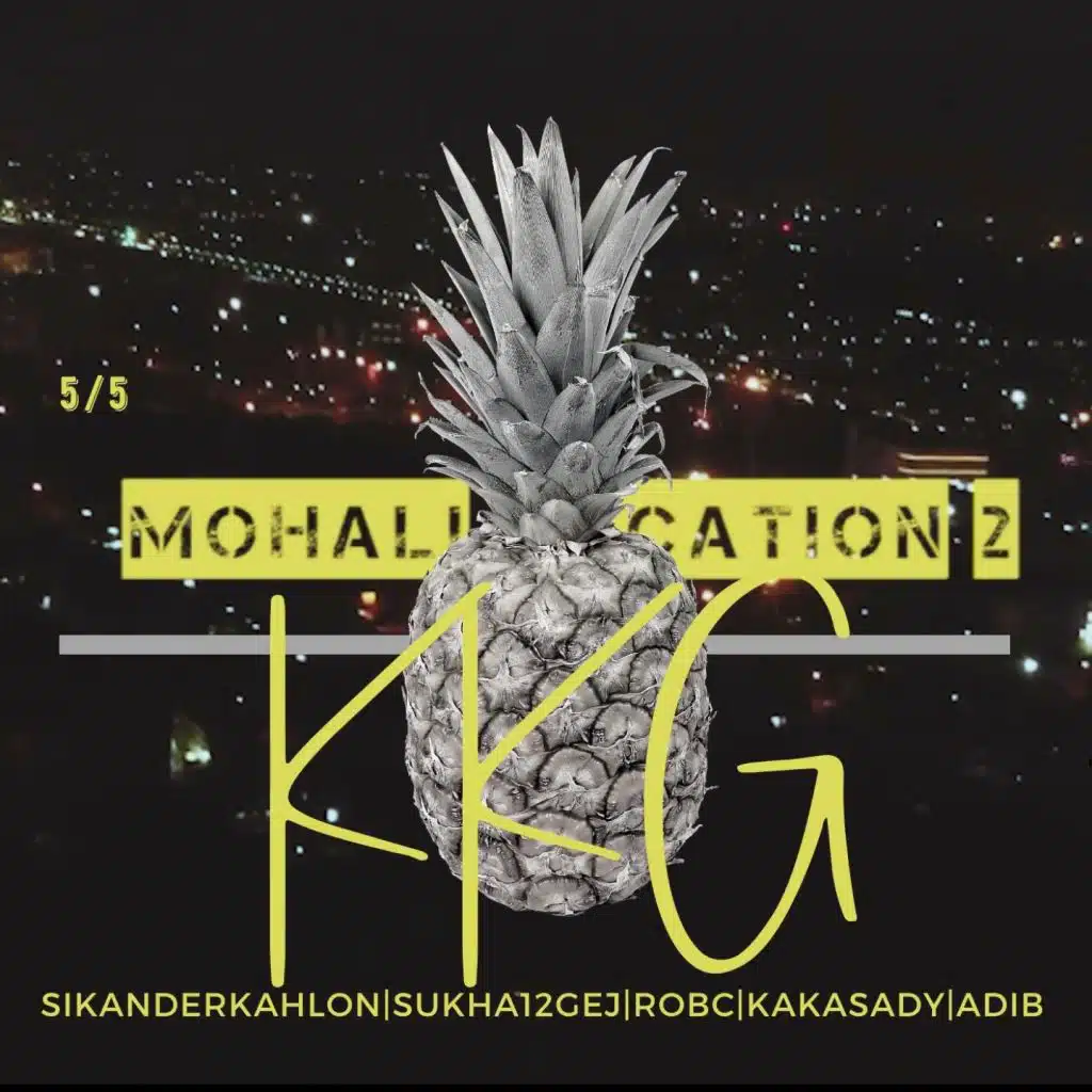 Mohali Vacation 2 (feat. Sukha 12 Gej, Rob C, Kaka Sady & Adi B)
