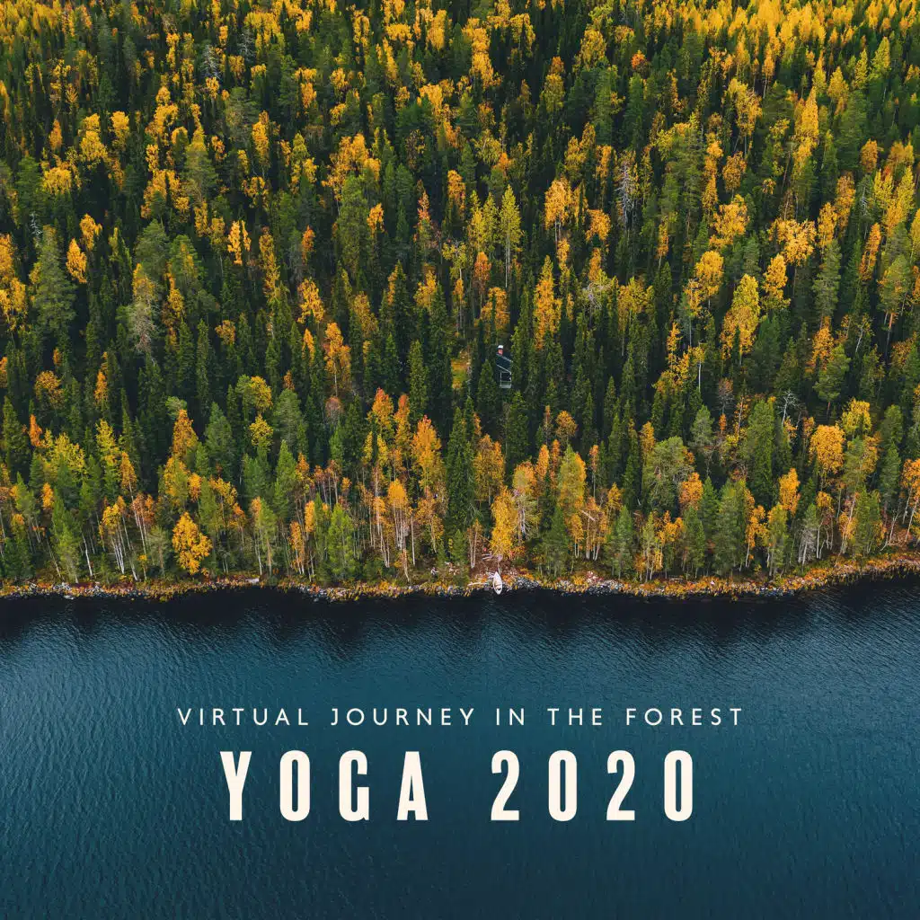 Virtual Journey in the Forest: YOGA 2020 - Nature Sounds for Meditation, Mindfulness, Morning Mood