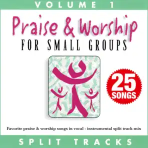 Praise & Worship for Small Groups, Vol. 1 (Whole Hearted Worship)